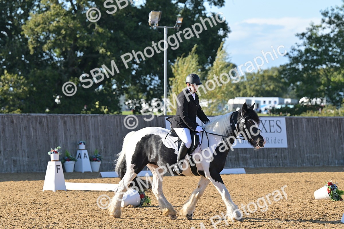SBM_13015 - D3 - Small Tour Championship Intro 3