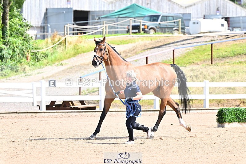 240718A-105237-00934 - Trot Up 11am to 12pm