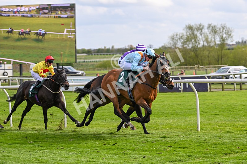 240424-Race 5-Tyger Bay-8263 - Race 5