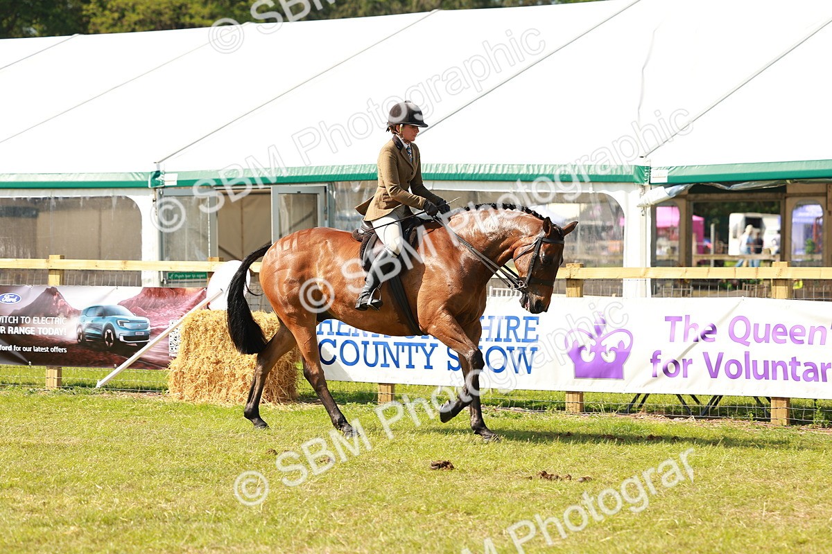 SBM_12036 - Class 66-69 - RIHS Ridden Hunters Inc Small Hunter
