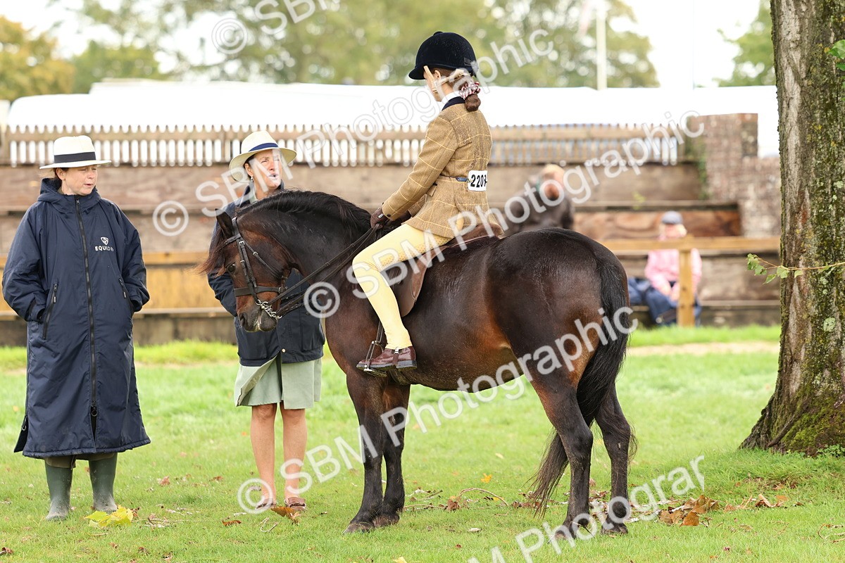 SBM_45106 - S27 - Young Veteran Ridden