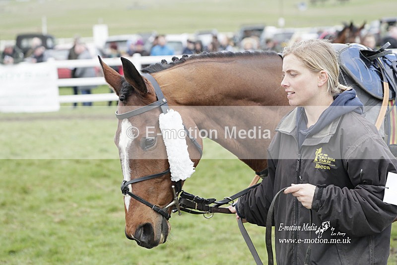 PtP 260323 0547 - New Forest Hounds Point-to-Point Larkhill 26/03/23