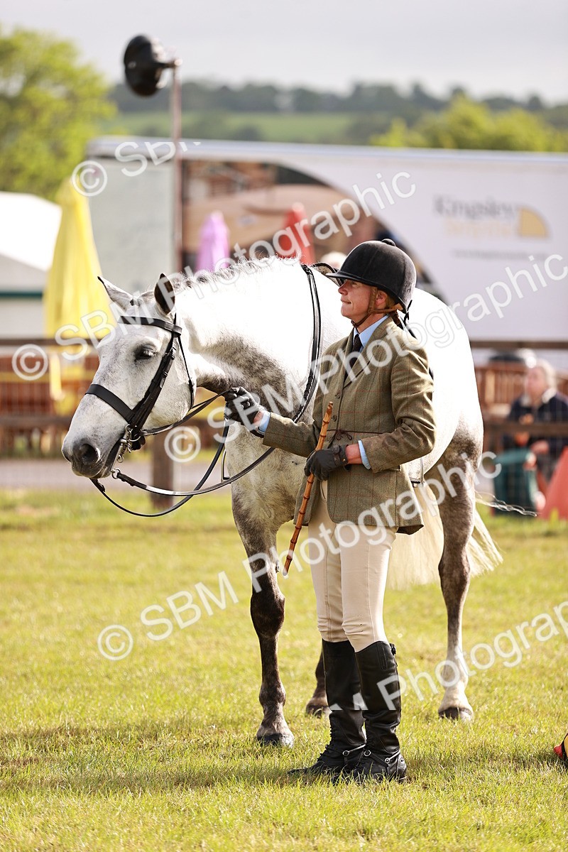 SBM_10795 - Class 81-84 - RIHS Ridden hunters Inc Ladies Hunter