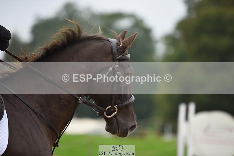 231001-131718-02707 - Cls 2 80cm 12.20 to End