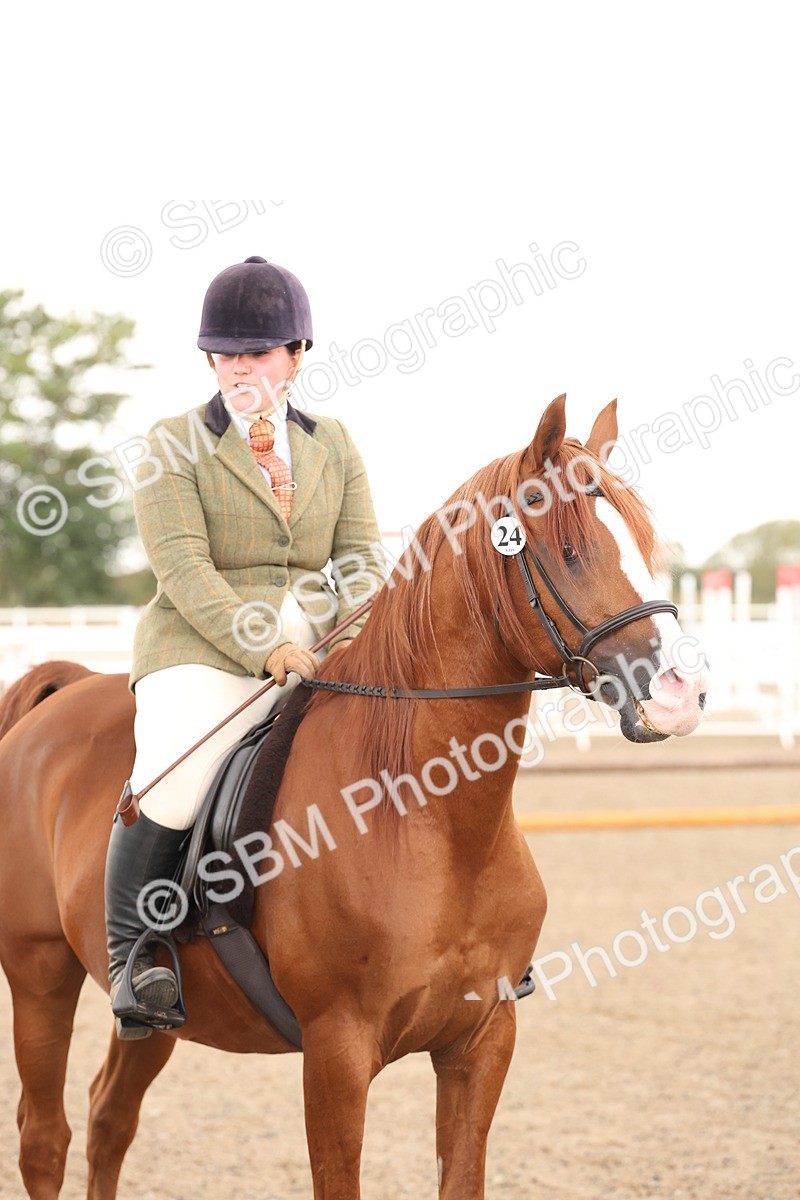 SBM_07578 - Class 59b -  Style & Performance - 80cm (20+)