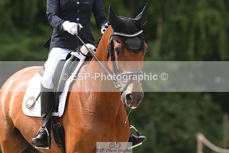 250720A-114412-09975 - 138-Sara.Wilson-Timulus