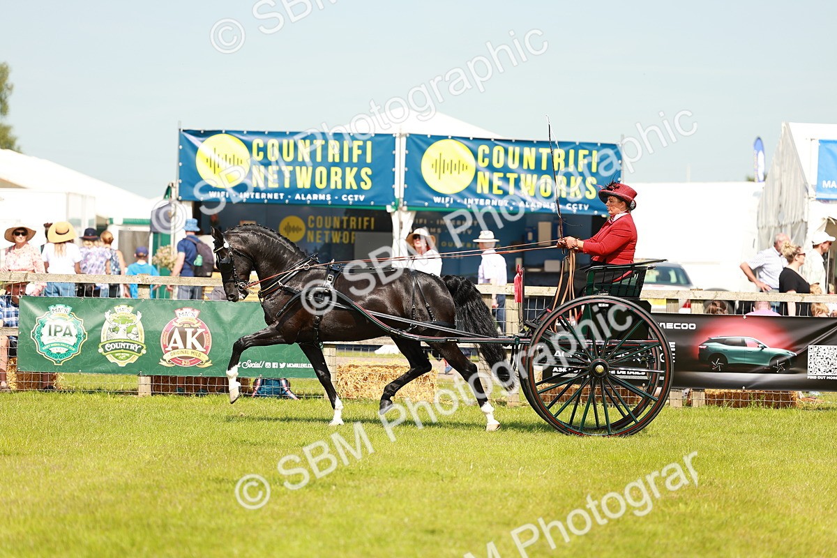 SBM_02866 - Class 2-4 - HOYS Private Driving