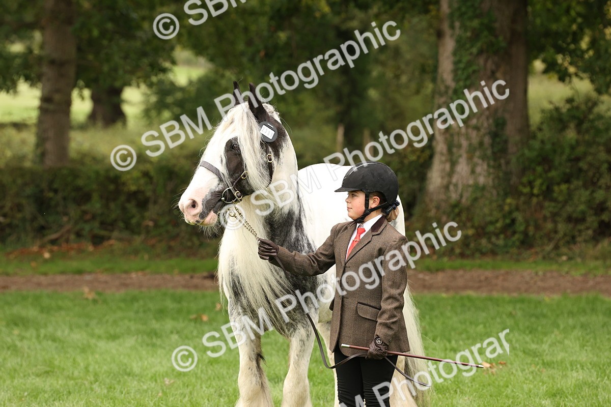 SBM_59327 - S57 - Traditional Cob In Hand