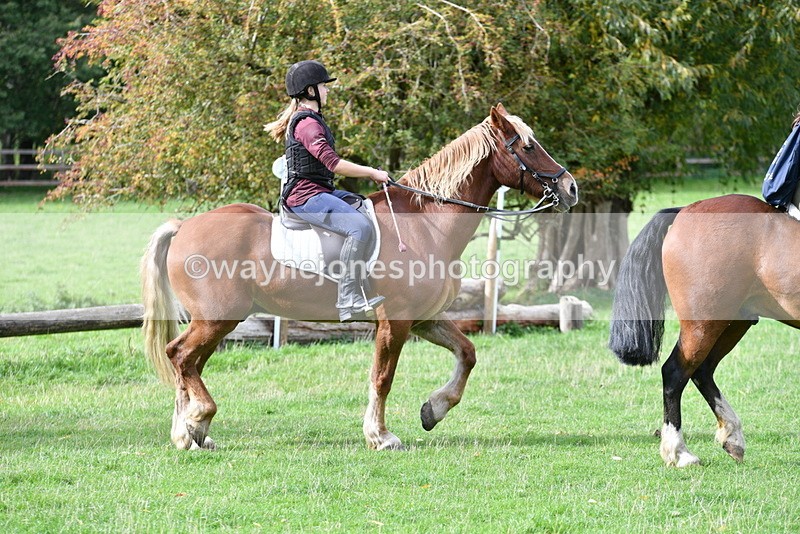 WJ5_9749 - Time 13:03 to 13:25