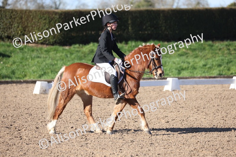 20260214-0274 - Class 3 - Prelim 2