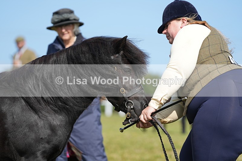 DSC05328 - Class 49: NPS Shetland 4 years and over