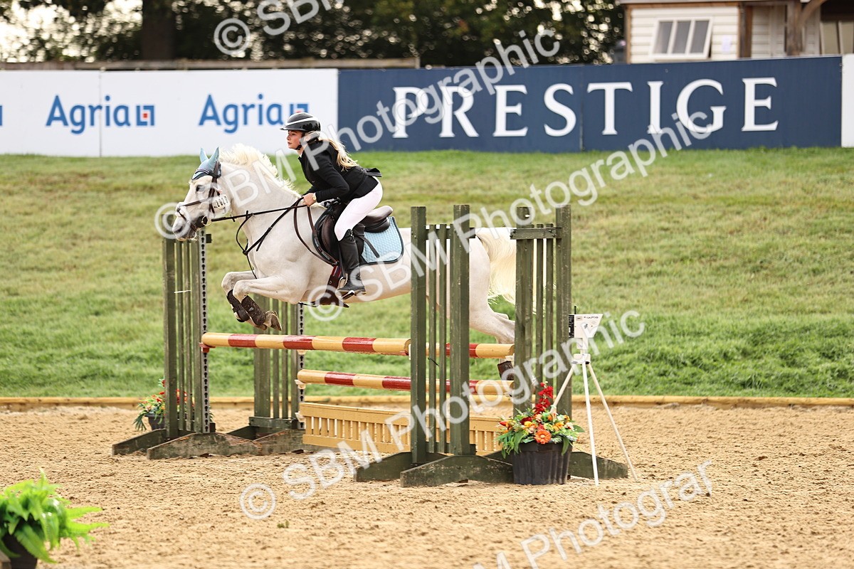 SBM_58174 - J41 - Grand Tour Horse & Pony 95cm