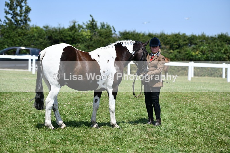 DSC_7744 - Class 64: Coloured Pony 4yrs & over