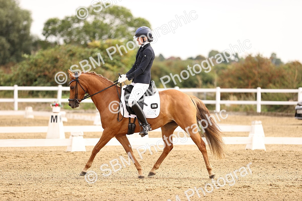 SBM_011688 - Class 1 - Medium 5