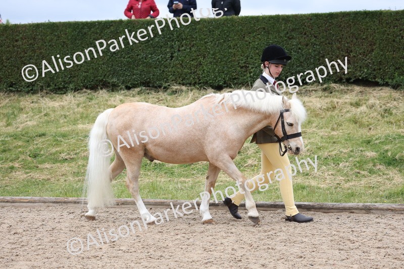 20250524-0614 - Class 7 - Veteran