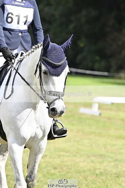 250822A-113630-22306 - DR 11.00 to 12.00