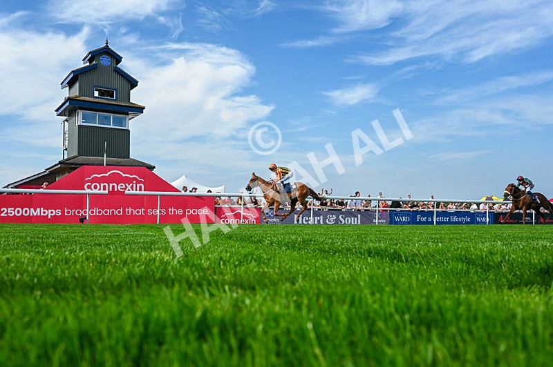 130826-Race 6-Saxon Grace-5396 - Race 6 16.45pm Racing Again On Saturday 29 August Handicap