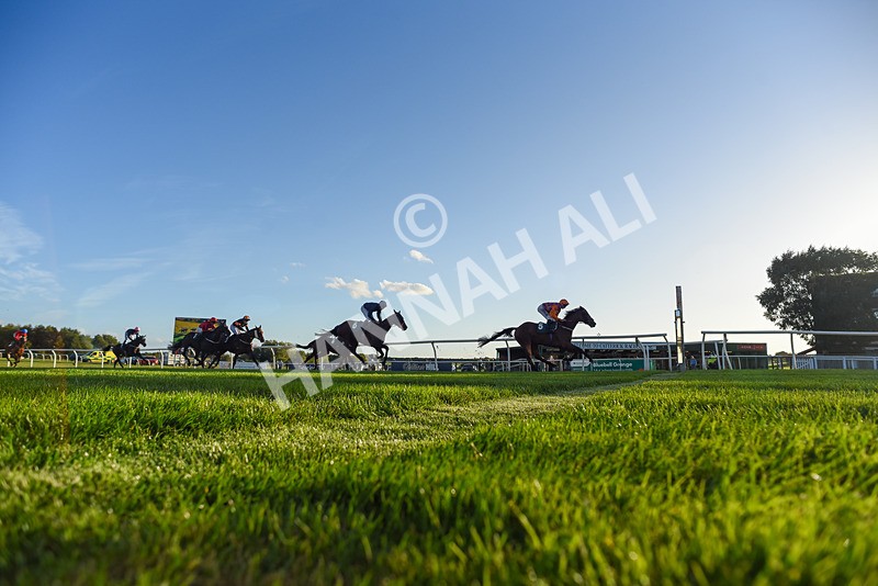 300926-Race 7-Prince Of Calypso-8286 - Race 7 5.25pm Amstel Gallop Handicap