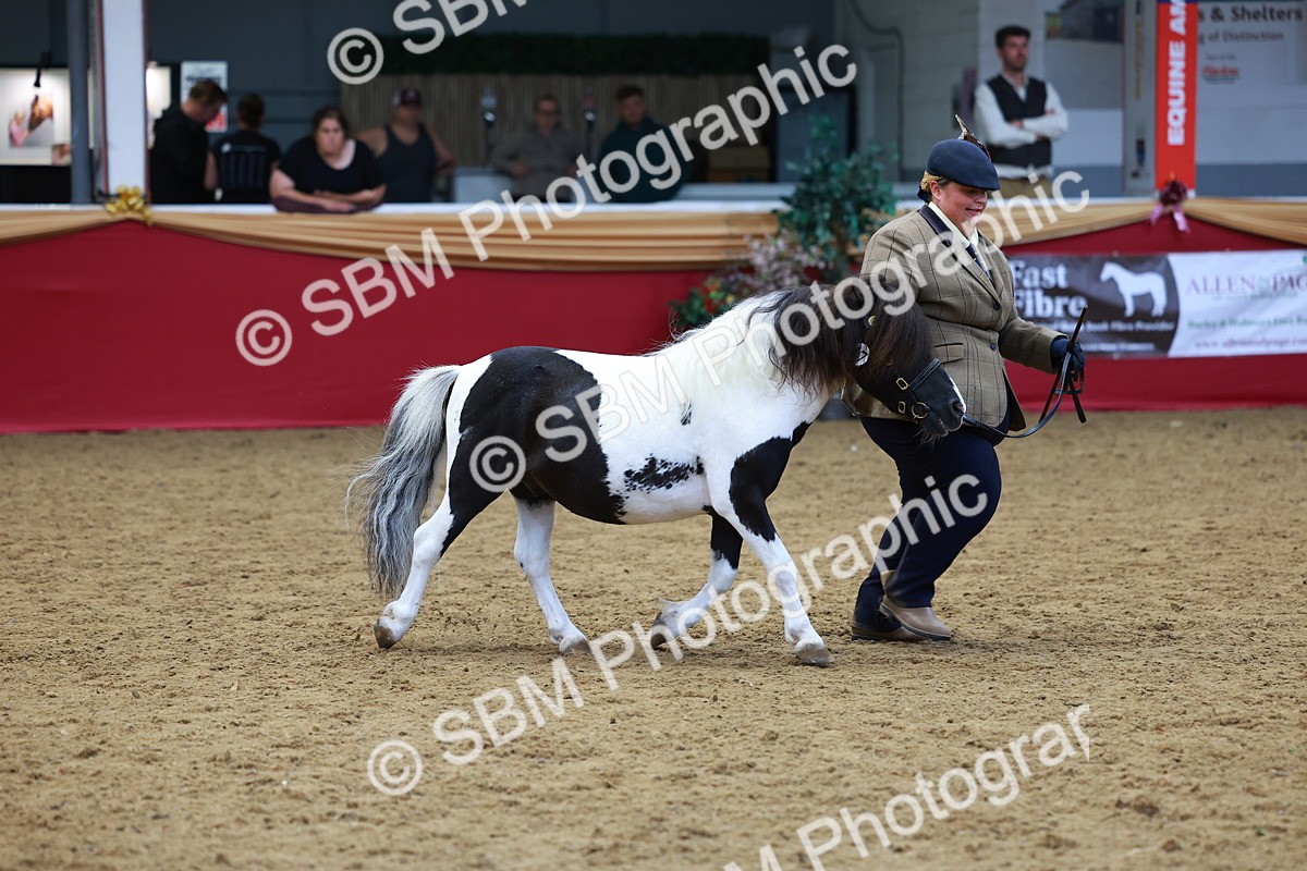SBM_04236 - Class 9R - IH Pre-Vet