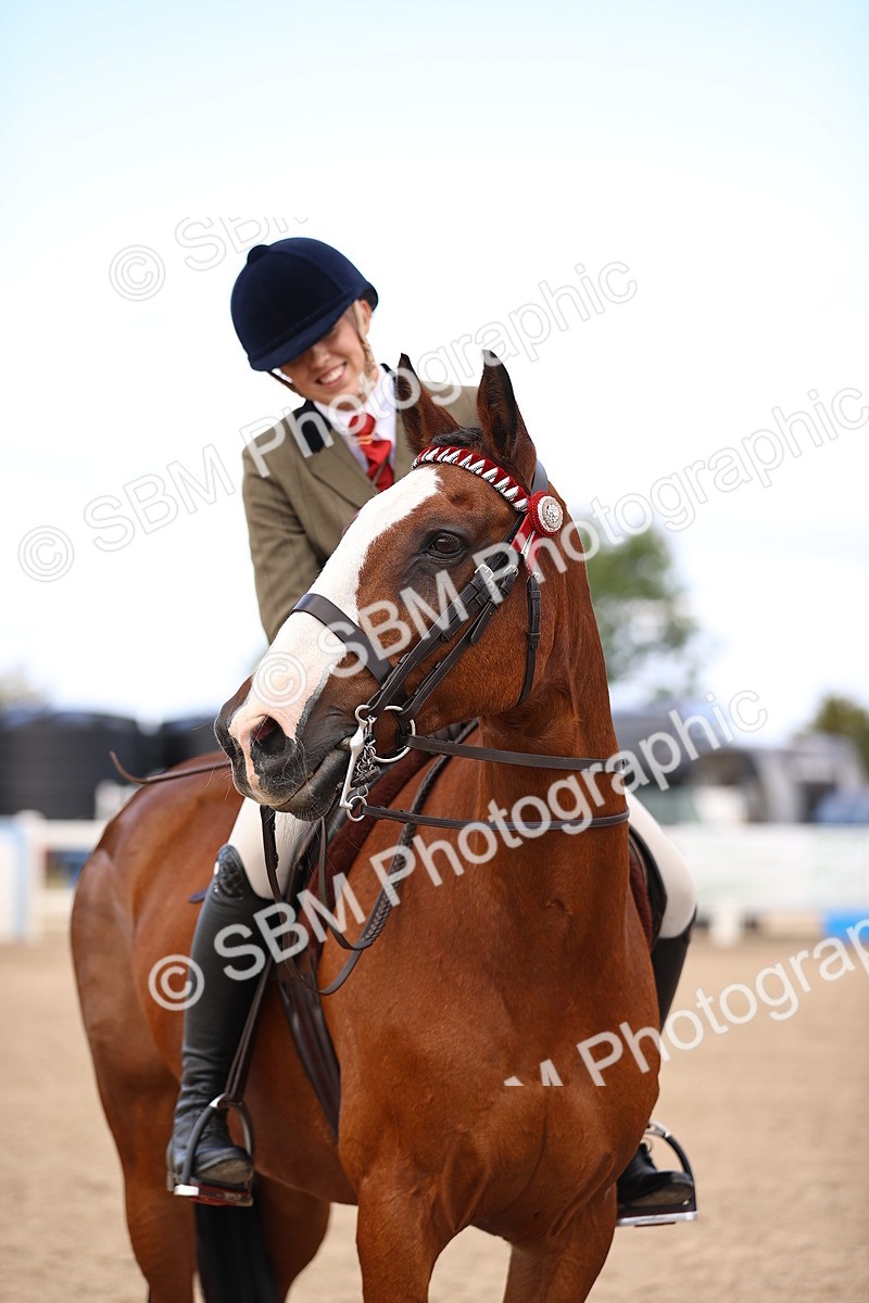 SBM_12961 - Class 410 - Grassroots Ridden - Horse