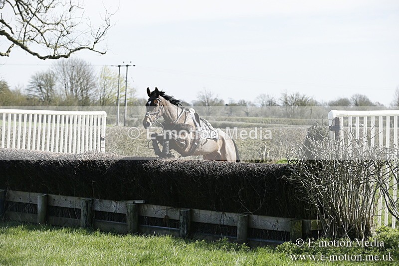 PtP 250317 48 - V.W.H. Hunt Point-to-Point Siddington 25/03/17