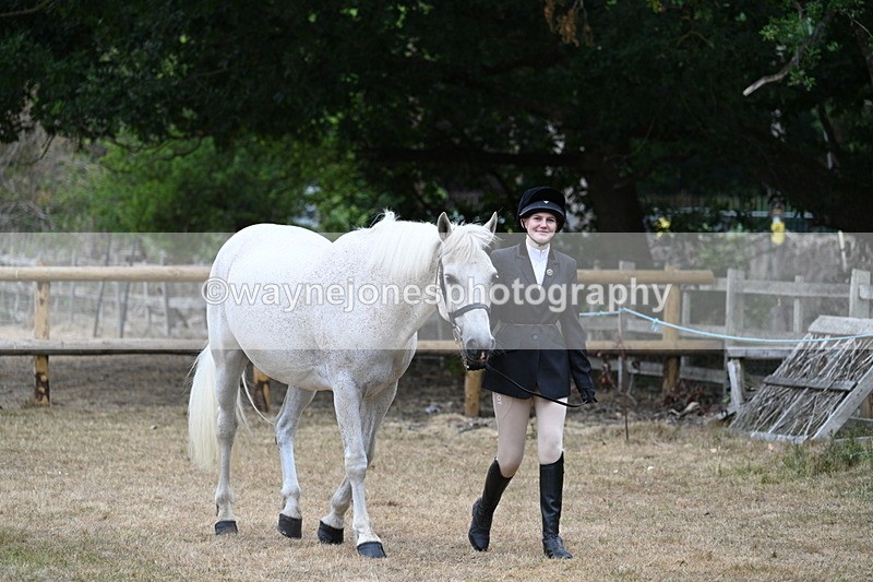 WJ7_8645 - Class 4a Prettiest Mare 14.2hh and over