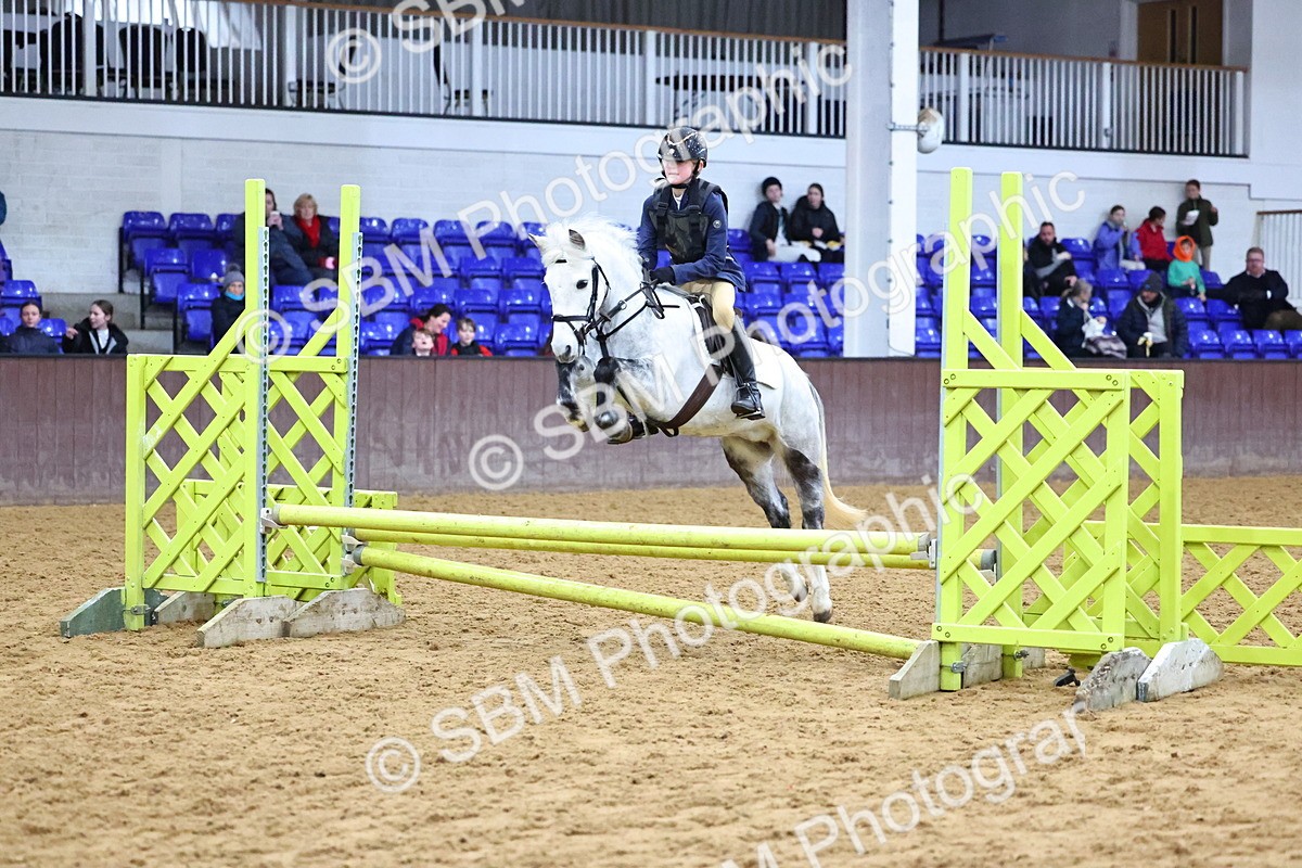 SBM_001393 - Class 3 - Christmas Tree Stakes - 60cm