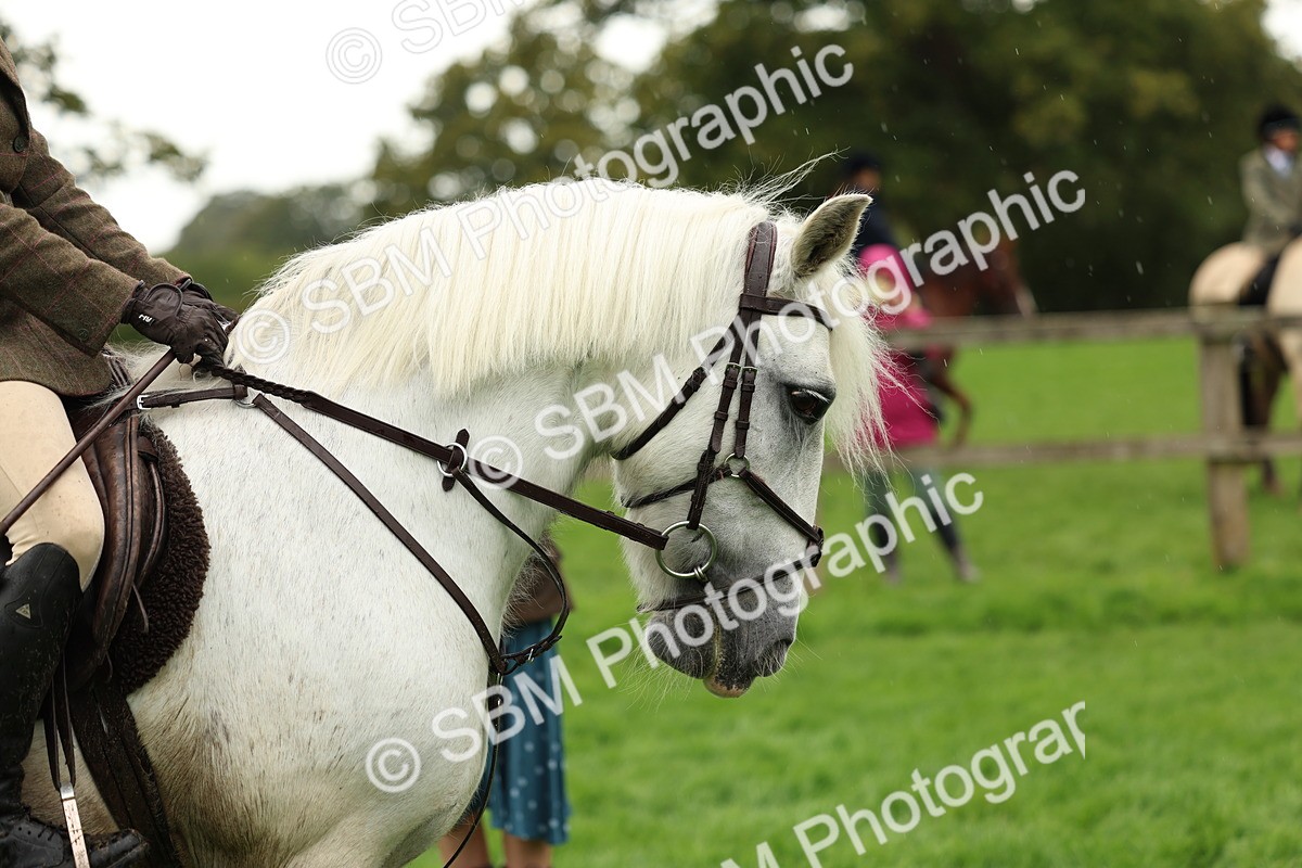 1I0A1462 - S32 - Mountain & Moorland Working Hunter Pony