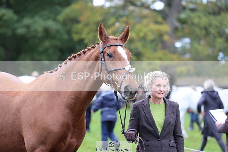 251026A-111352-25322 - G-579-Amy.Newton