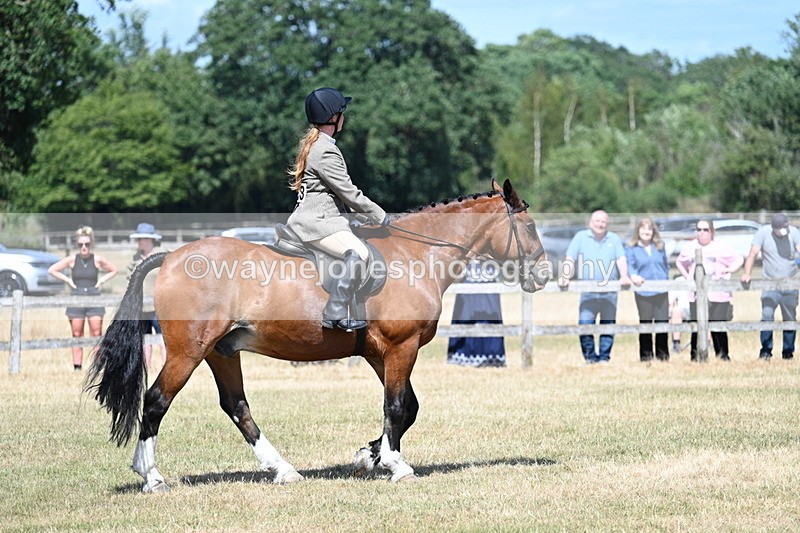 WJ7_3456 - Class 8 Ridden Veterans