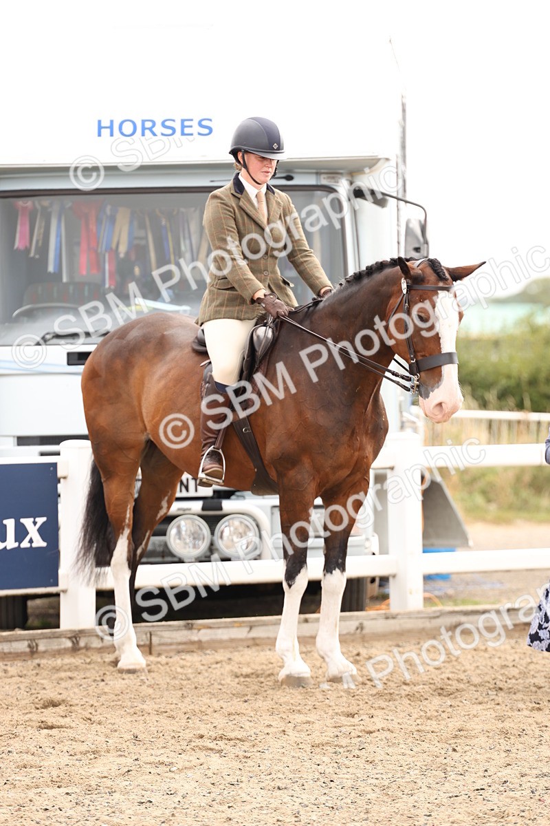 SBM_02860 - Class 53 - Ridden Competition Horse/Pony
