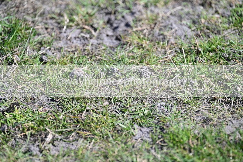 WJ7_0177 - XC Time 11:20 to 11:32