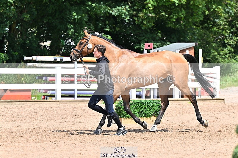 240718A-105311-01679 - Trot Up 1pm to 2pm