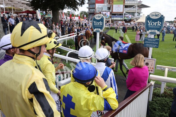 yr20082022r2-1 - Race 2 2.35pm Sky Bet Melrose Stakes