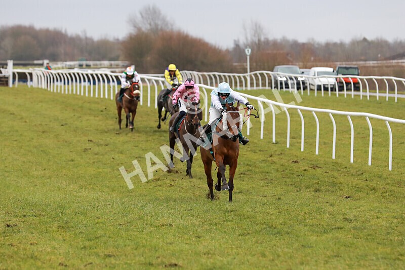 100225-Race 1-Tigerbythetail-5573 - Race 1