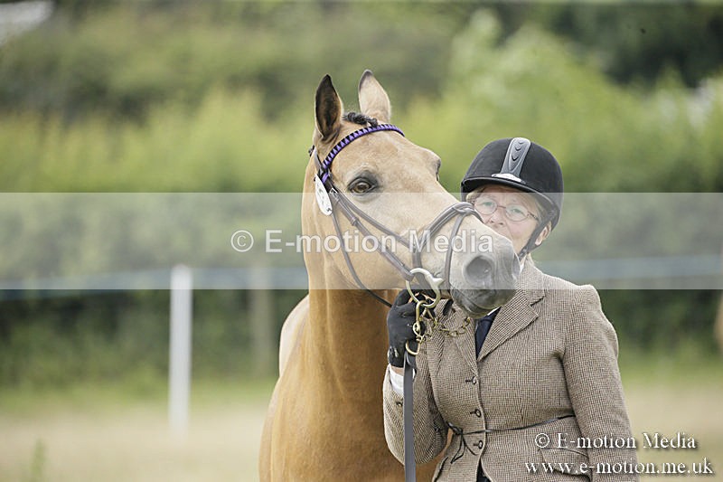 B230619-0492 - Bourne Valley Riding Club Summer Show 23/06/19