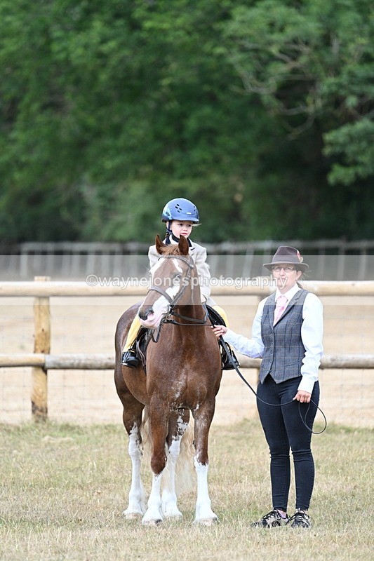 WJ7_6638 - Class 1 Lead Rein Pony