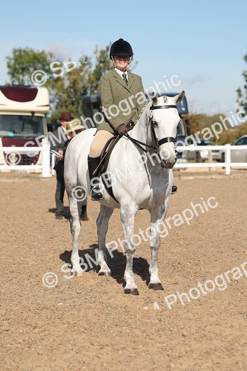 SBM_12356 - Class 304 - Ridden part Bred Horse Pony