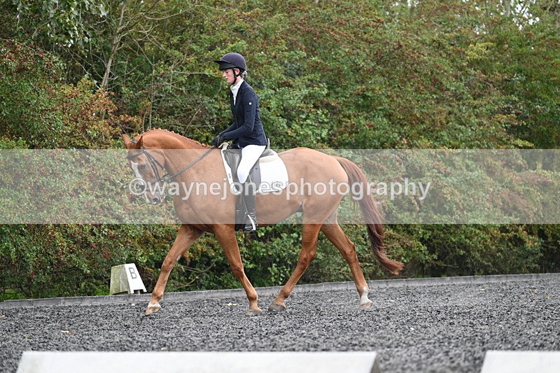 WJ7_6726 - Time 14:49 to 15:14