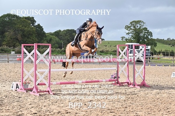 BPP_2342 - CLASS 5   FRI Senior Foxhunter/ 1.20m Open
