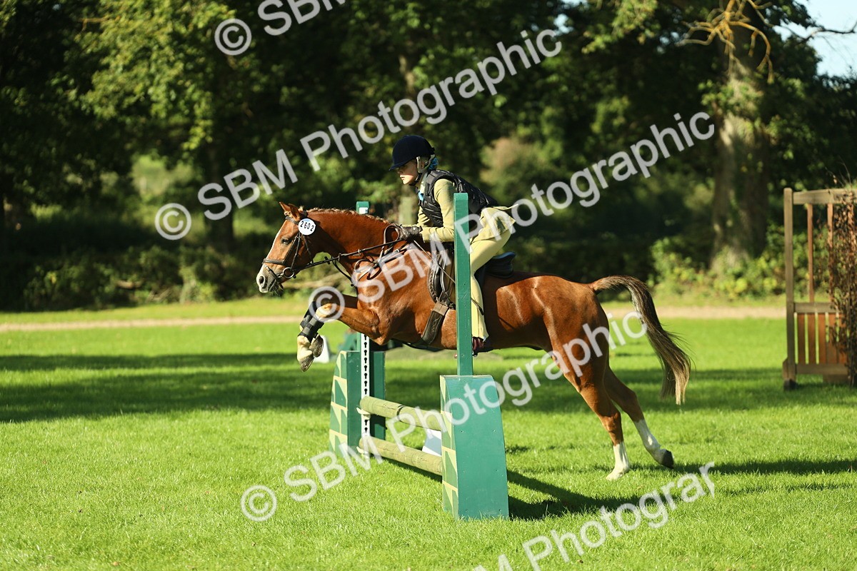 SBM_36425 - S29 - Novice & Newcomers Working Hunter Pony