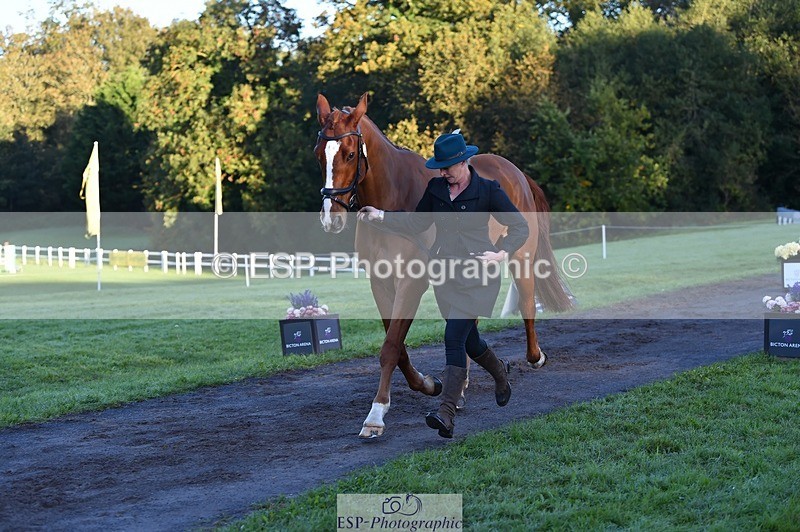 231022-085308-21424 - 648-FRIARSHILL.CHARLES-Caroline.Wilkinson-TrotUp+SJ