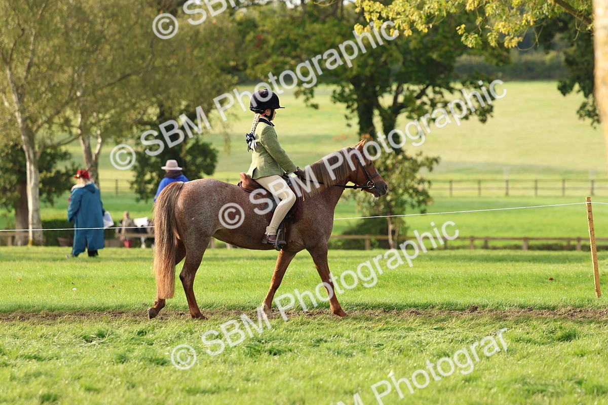 SBM_56514 - S40 - Starters Ridden Showing