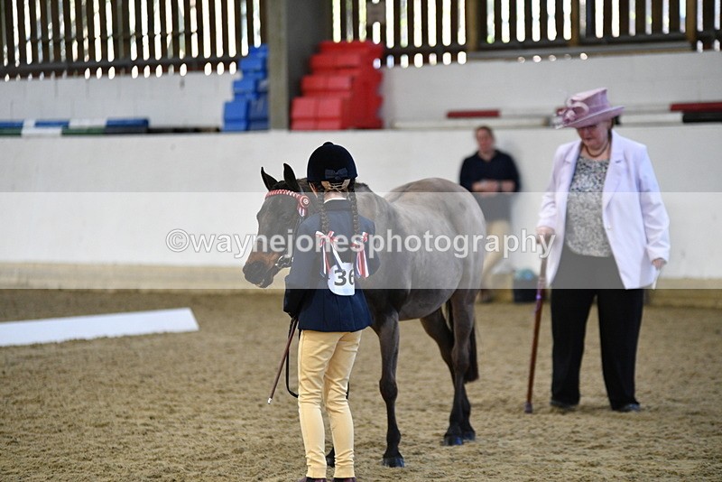 WJ5_3577 - Class 5 In Hand Veterans