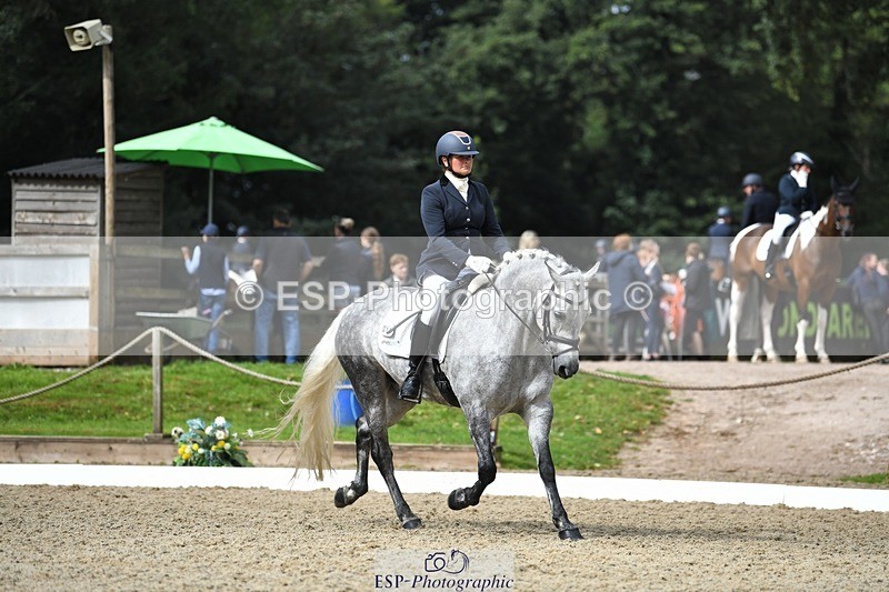 230812-103859-03418 - Cls 6 Novice Silver 10.30 to 11.55 break