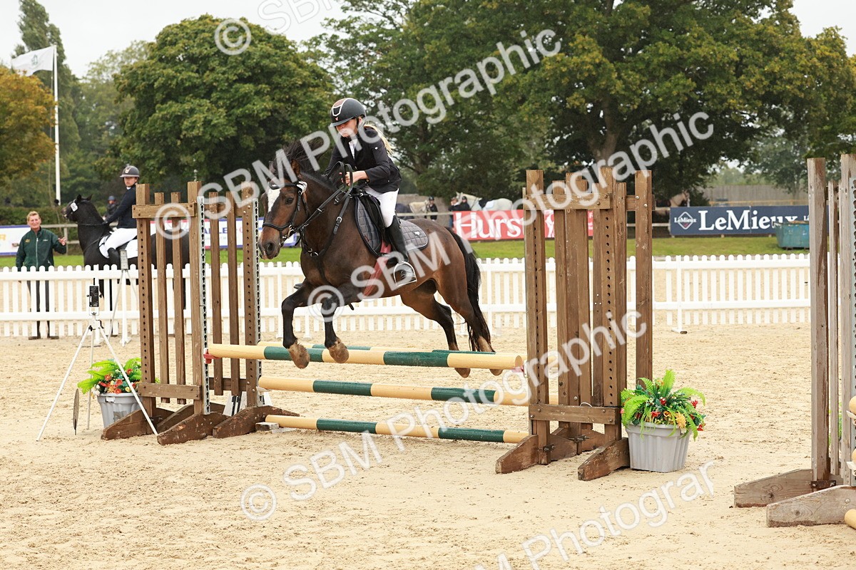 SBM_71113 - J14 - Junior Pony 65cm Championship