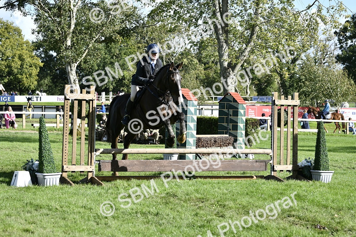 SBM_50040 - S34 - Novice & Newcomers Working Hunter