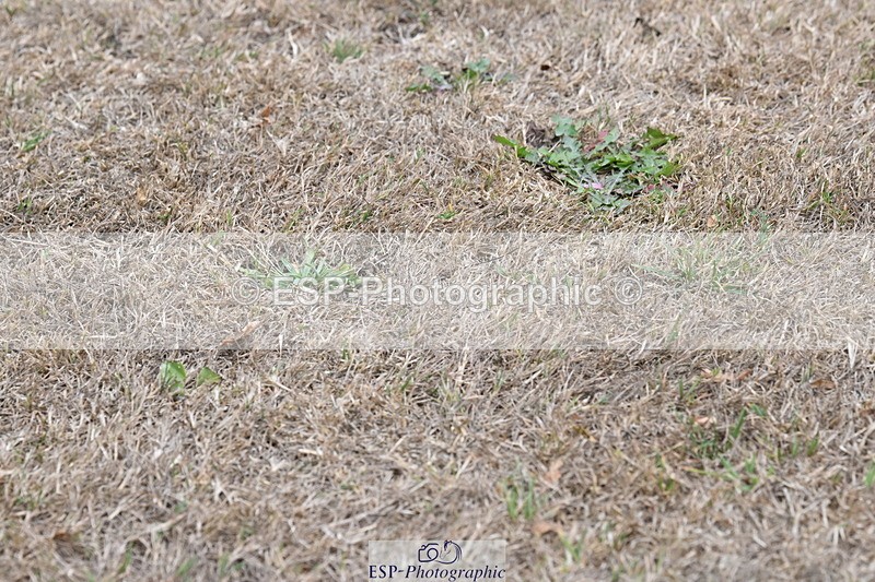 250820A-174547-12239 - Wednesday Presentations