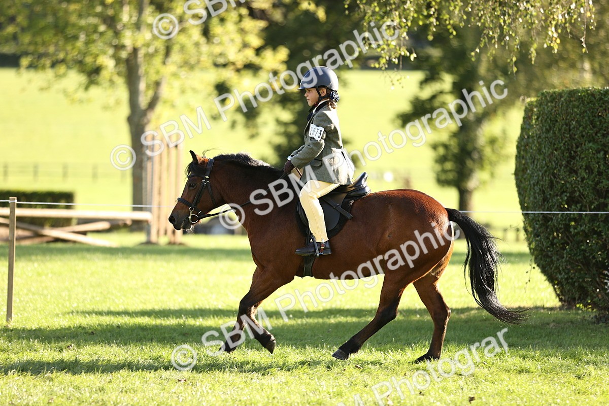 SBM_29434 - S7 - Novice & Newcomers Ridden Pony