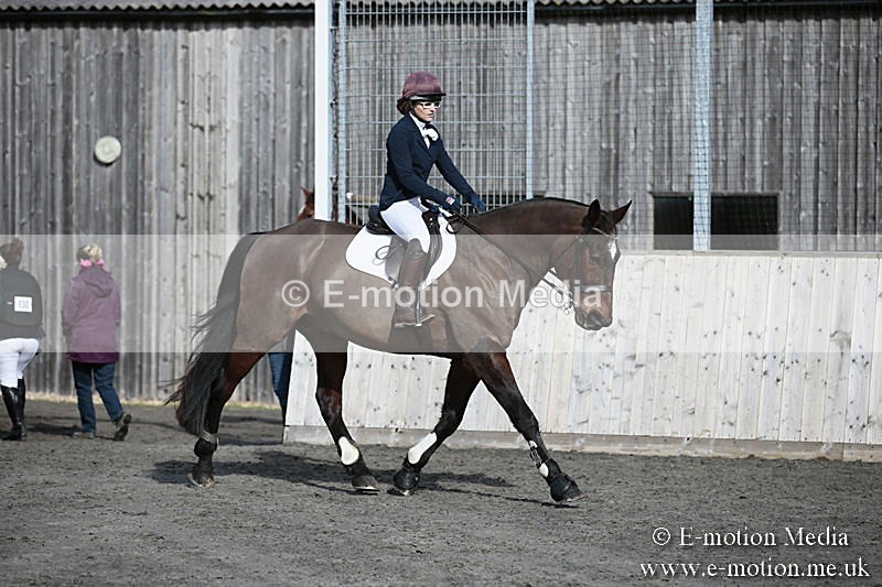 BVRC SJ 170319 69 - Bourne Valley Riding Club Showjumping 17/03/19